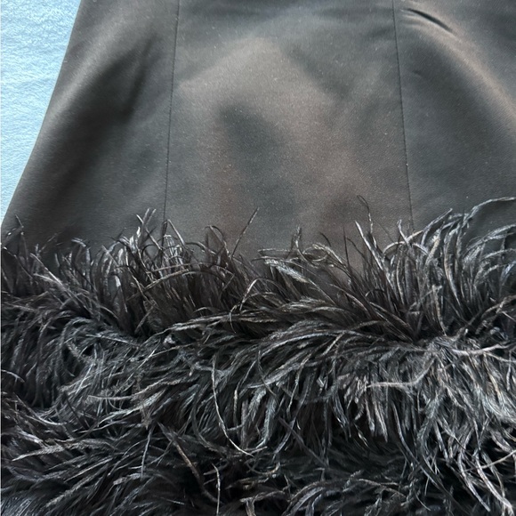 Zara - Stretchy Feather Dress - Black Mini Dress with Feathered Hem - LimitedEd - Picture 12 of 13